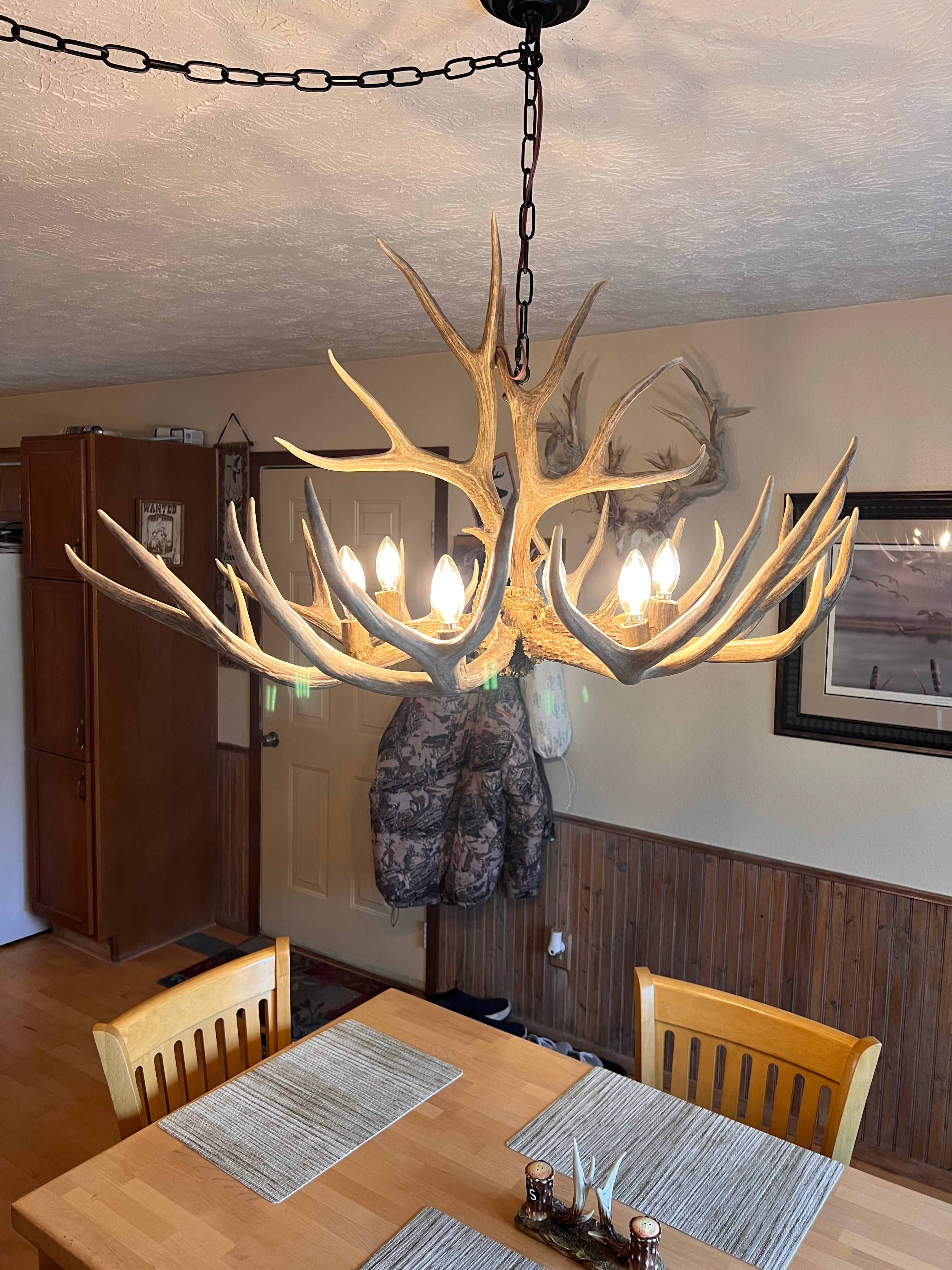 The Ridgecrest Mule Deer Chandelier
