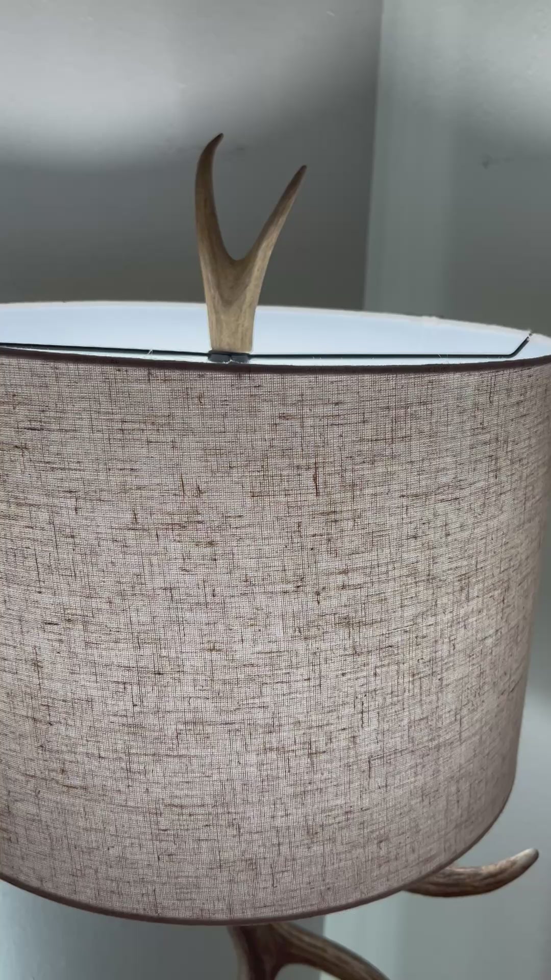 The Summit Ridge Antler Floor Lamp